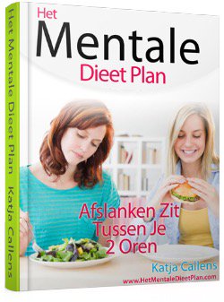 het-mentale-dieet-plan